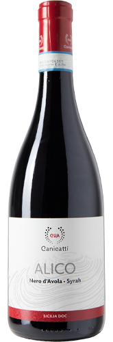 CVA Alico - Nero d'Avola - Syrah - CVA Canicattì